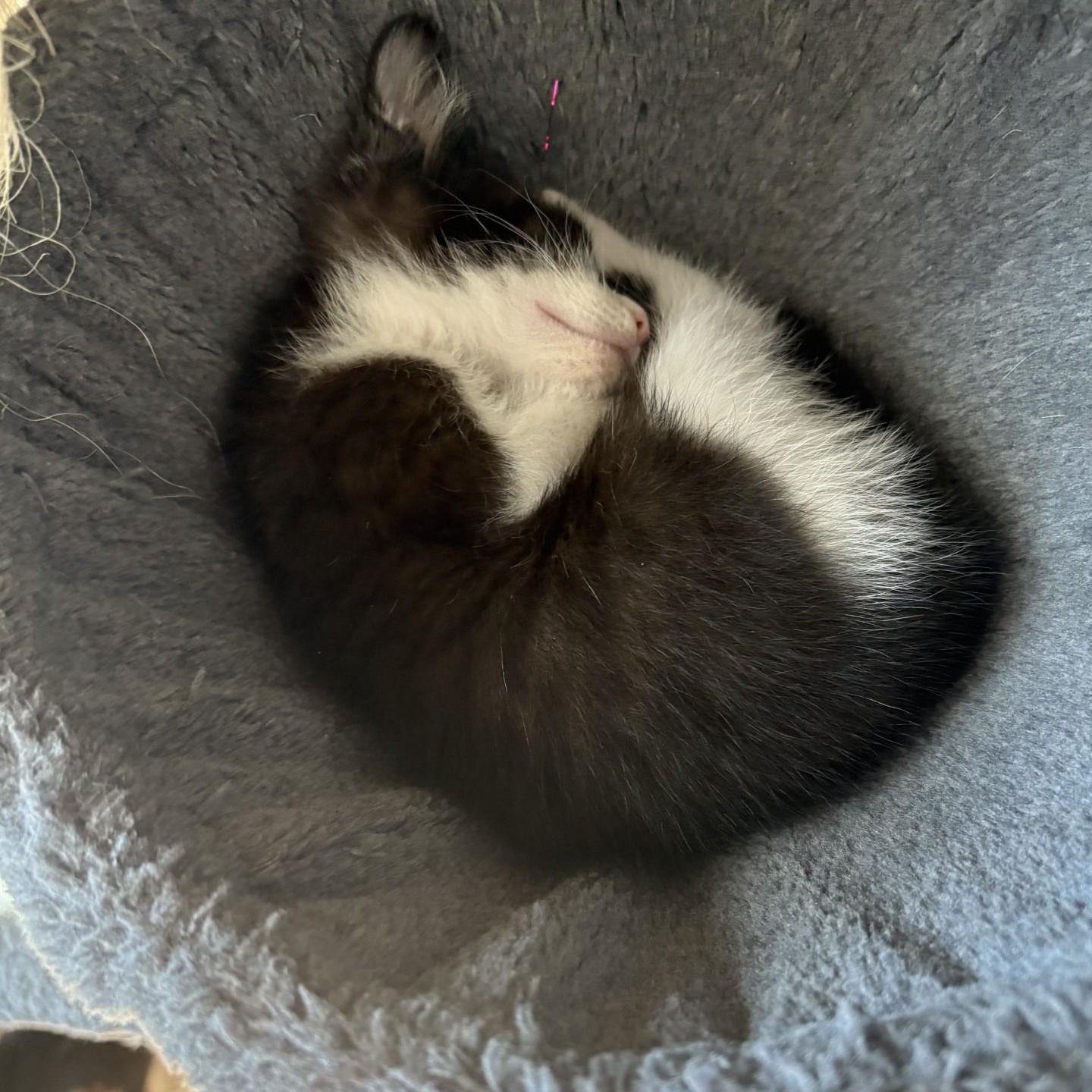 Gavin Avery thumbnail 3