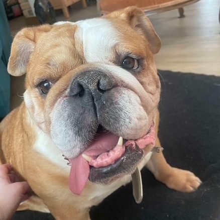 Rosie