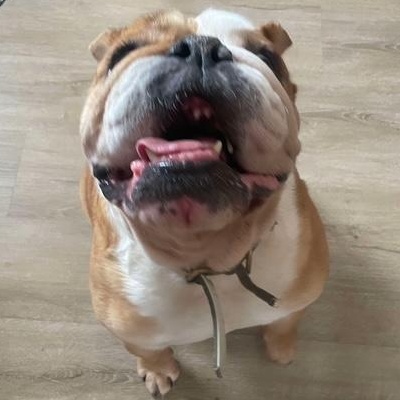 Rosie photo 4