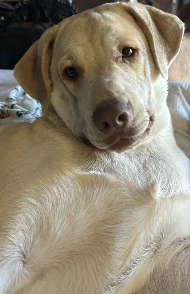 251158 Keller — thumbnail 2