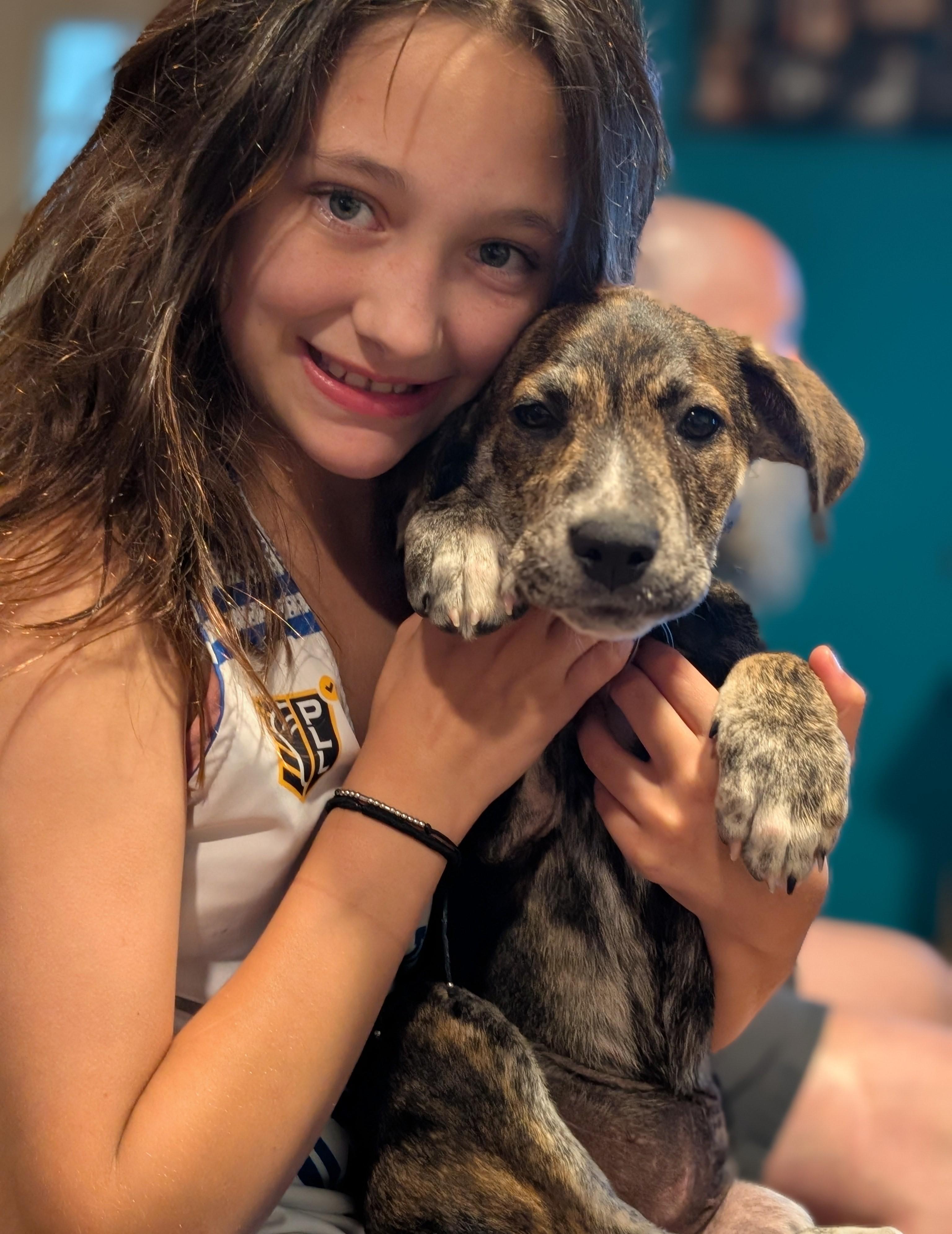 Jupiter (adoption pending), a Adoptable mixed breed in Albany, NY image 4/6