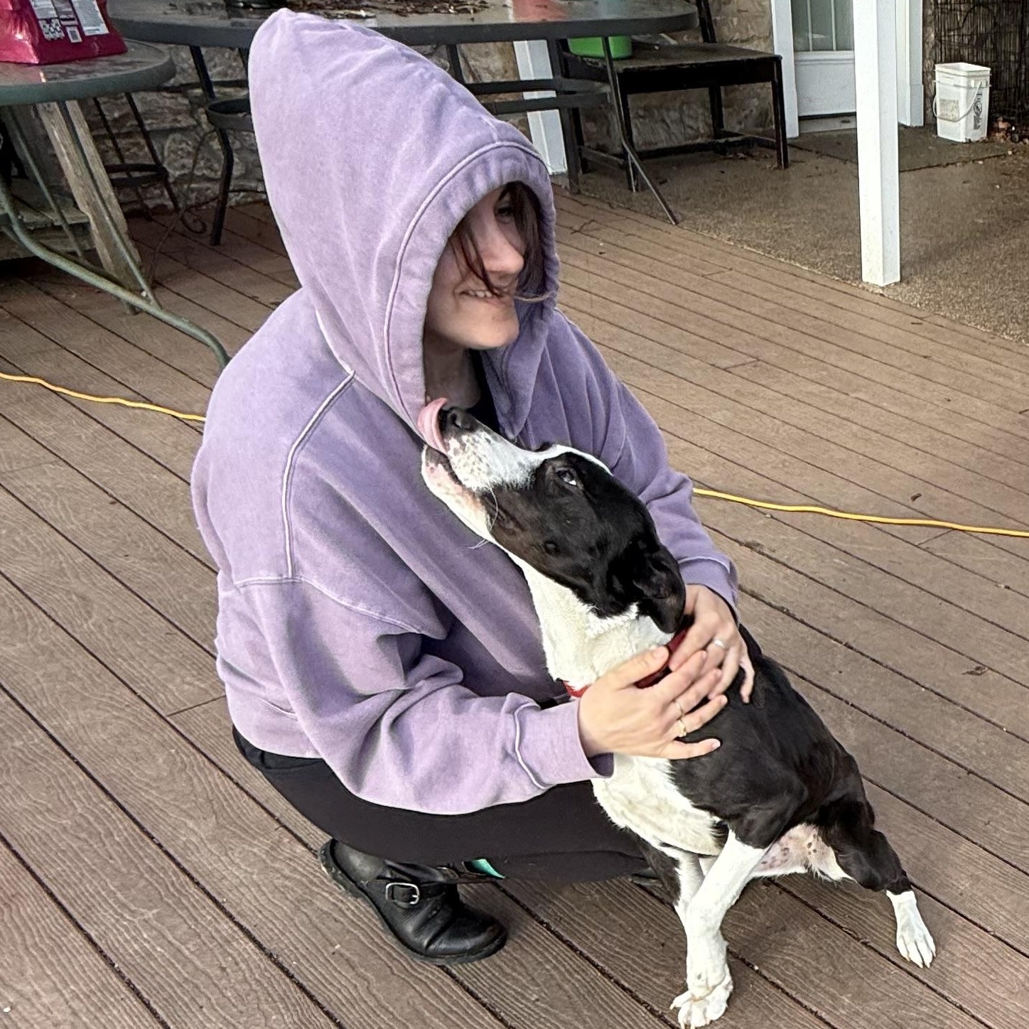 Meeka “Meme”, a Adoptable mixed breed in West Grove, PA image 5/5