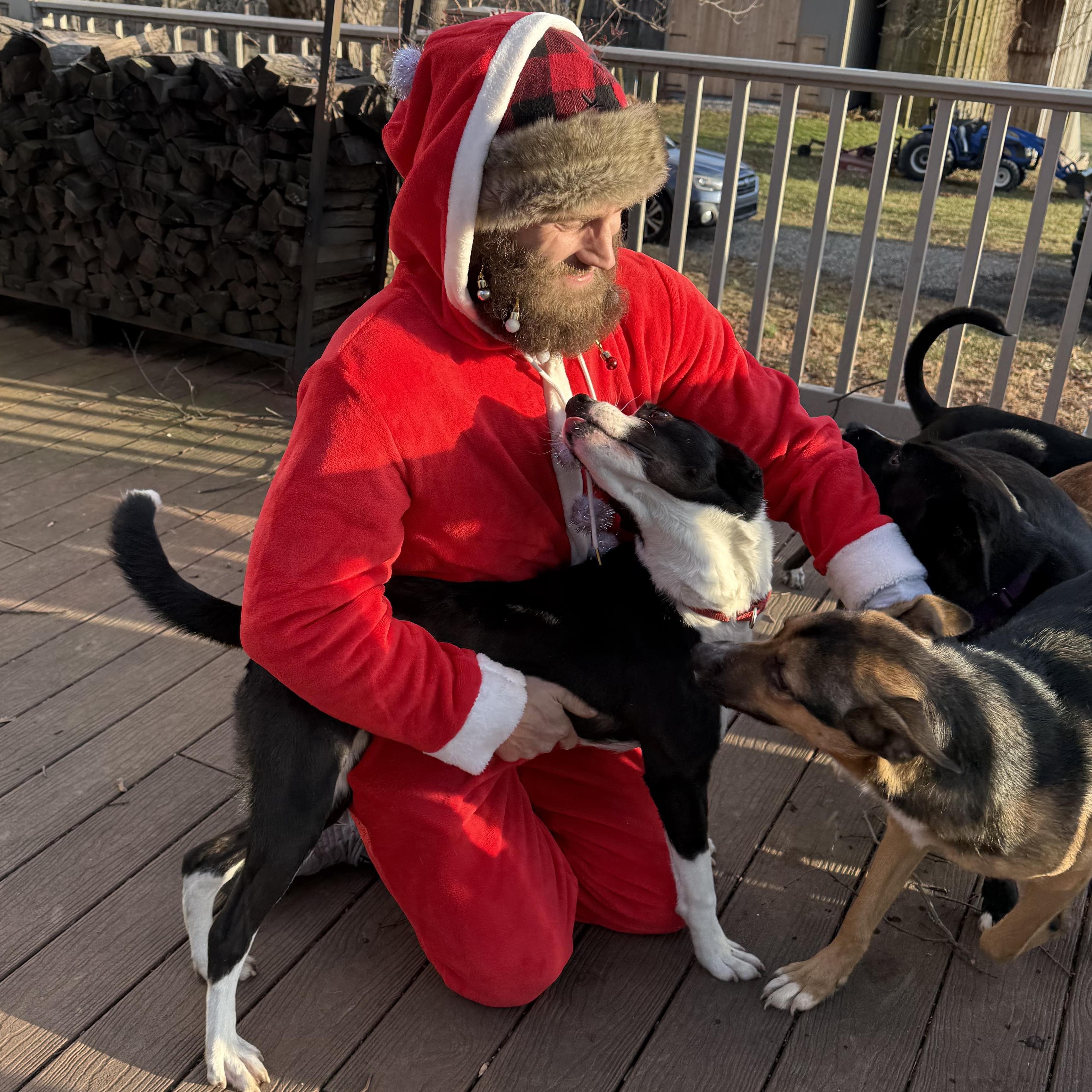 Meeka “Meme”, Adoptable, Young Female Mixed Breed.