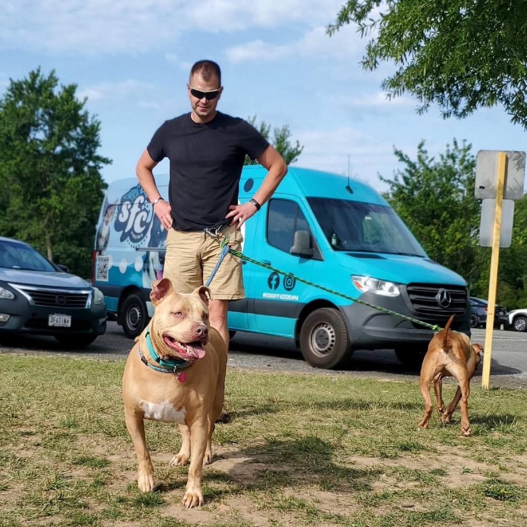 Ancho, Adoptable, Adult Male Mixed Breed.