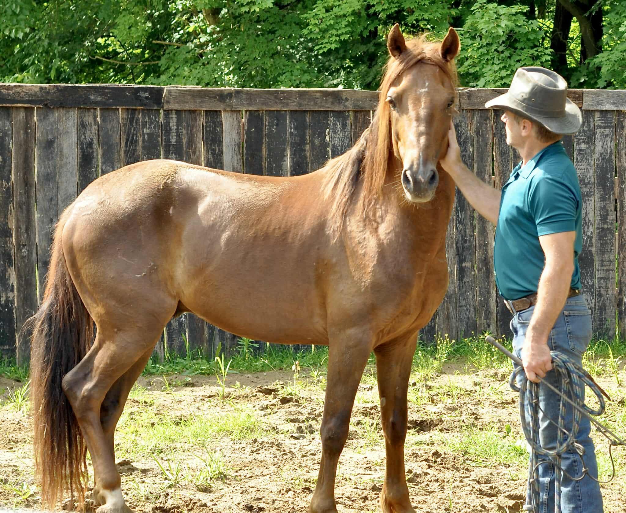 McAlister, Adult Male unknown