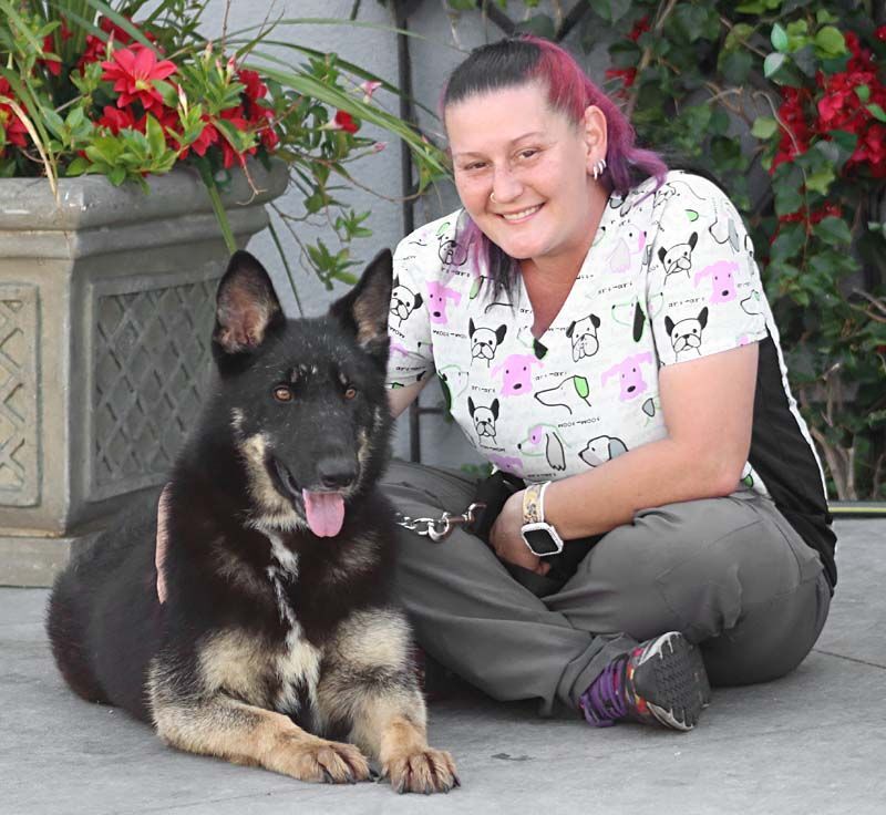 Liza von Lenterode+, a Adoptable mixed breed in Los Angeles, CA image 1/10