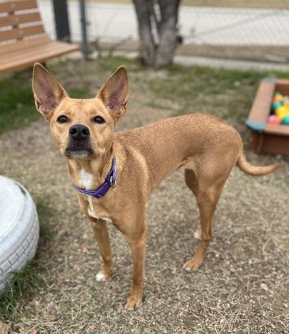 Delilah — thumbnail 2