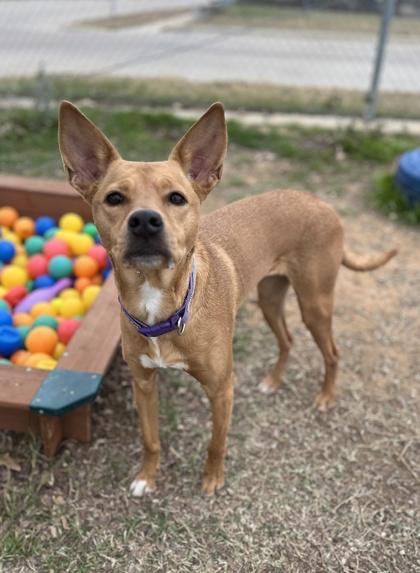 Delilah — thumbnail 3