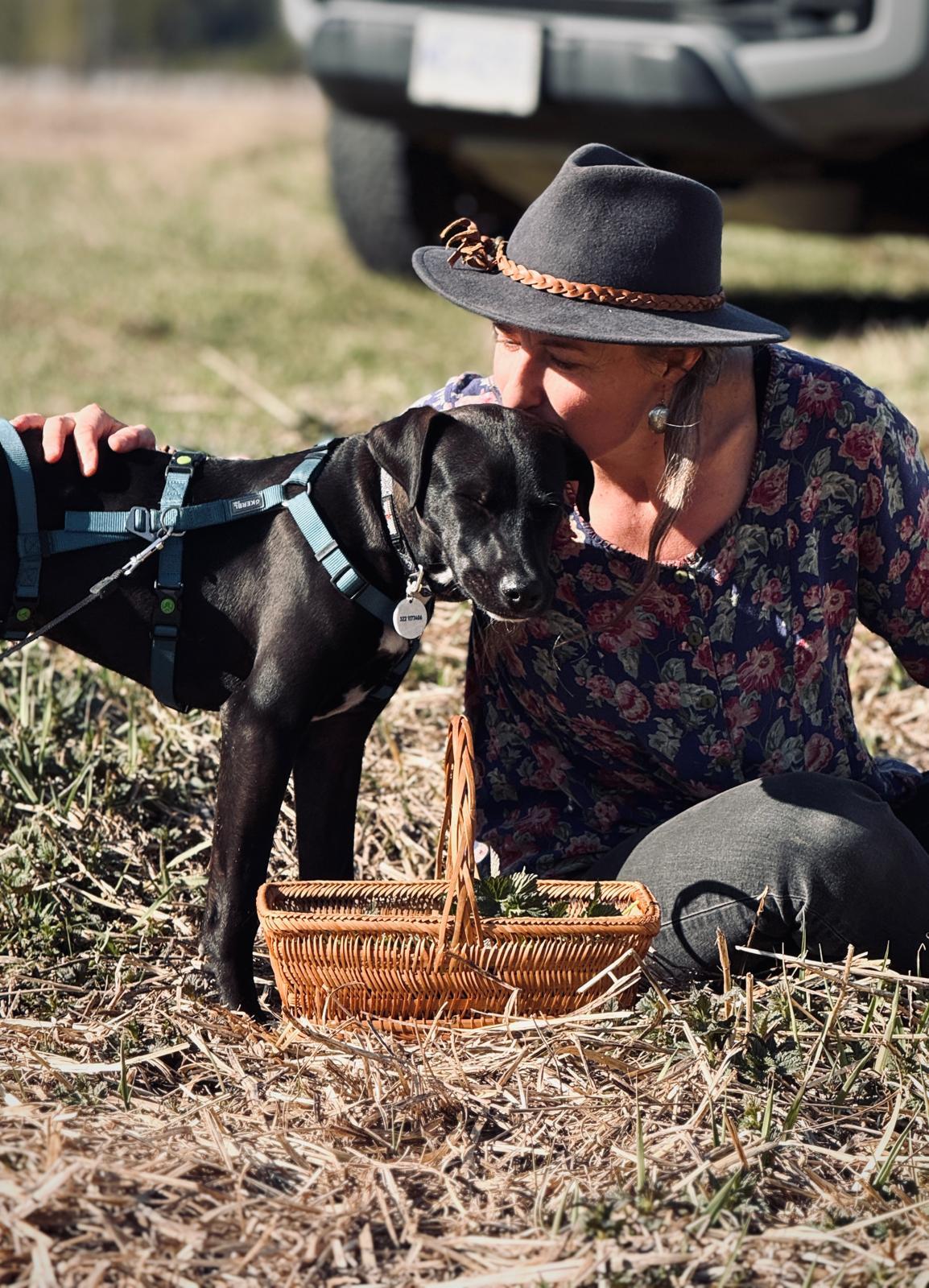 Enlarge Freddy, a Adoptable mixed breed in Kamloops, BC image 3/5