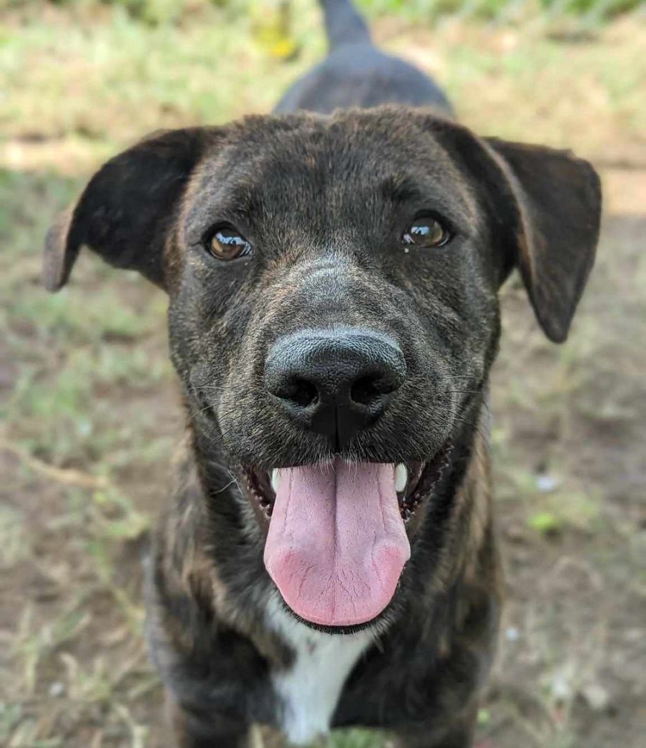 Astro