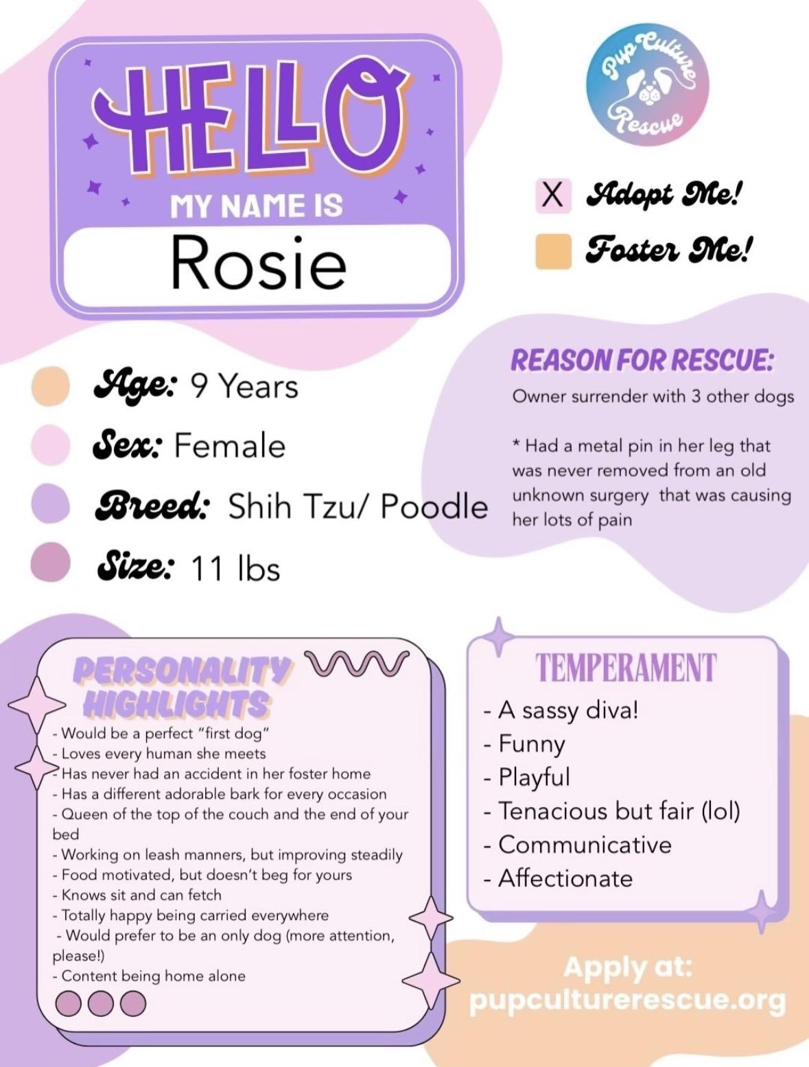 Enlarge Rosie, an adopted mixed breed in Pasadena, CA image 2/5