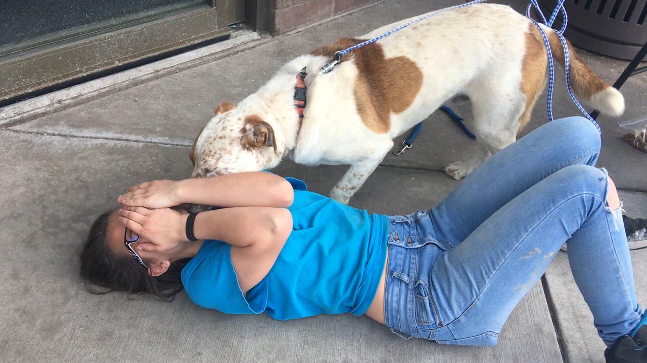 Enlarge Benny, a Adoptable mixed breed in San Luis, CO video 2/2