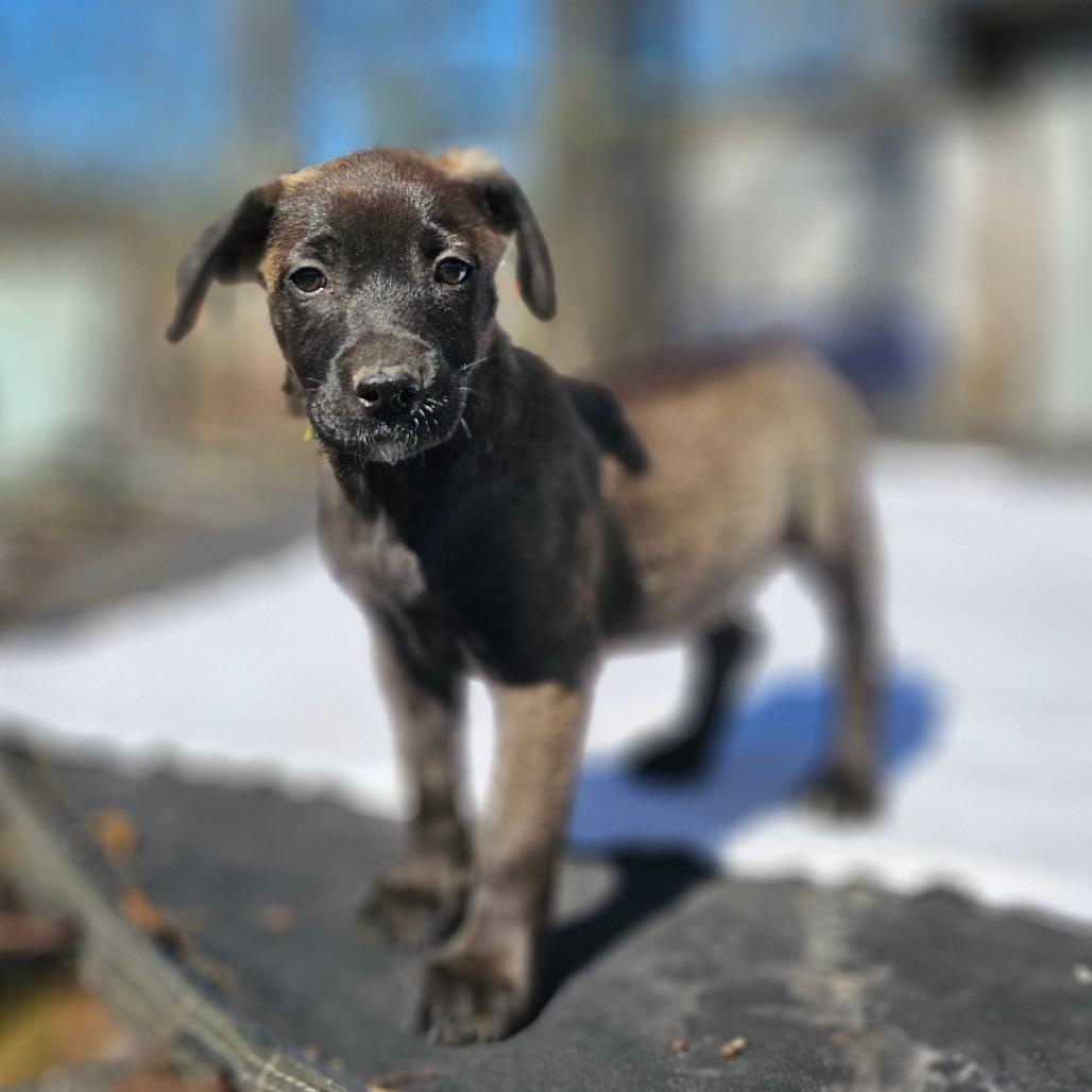 Kyla — thumbnail 2