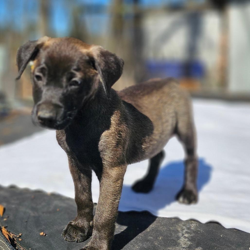 Kyla — thumbnail 5