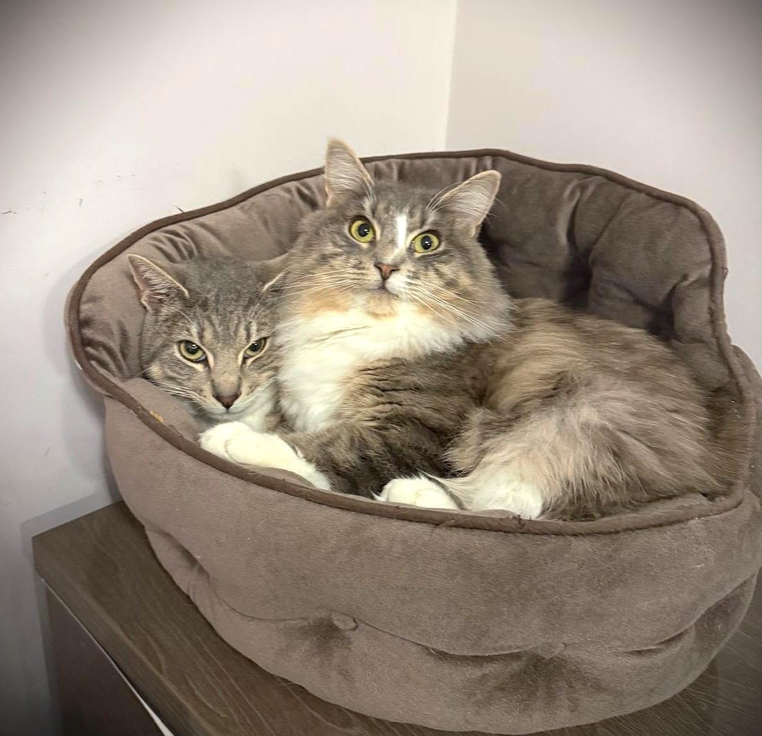 Simona And Theo thumbnail 3