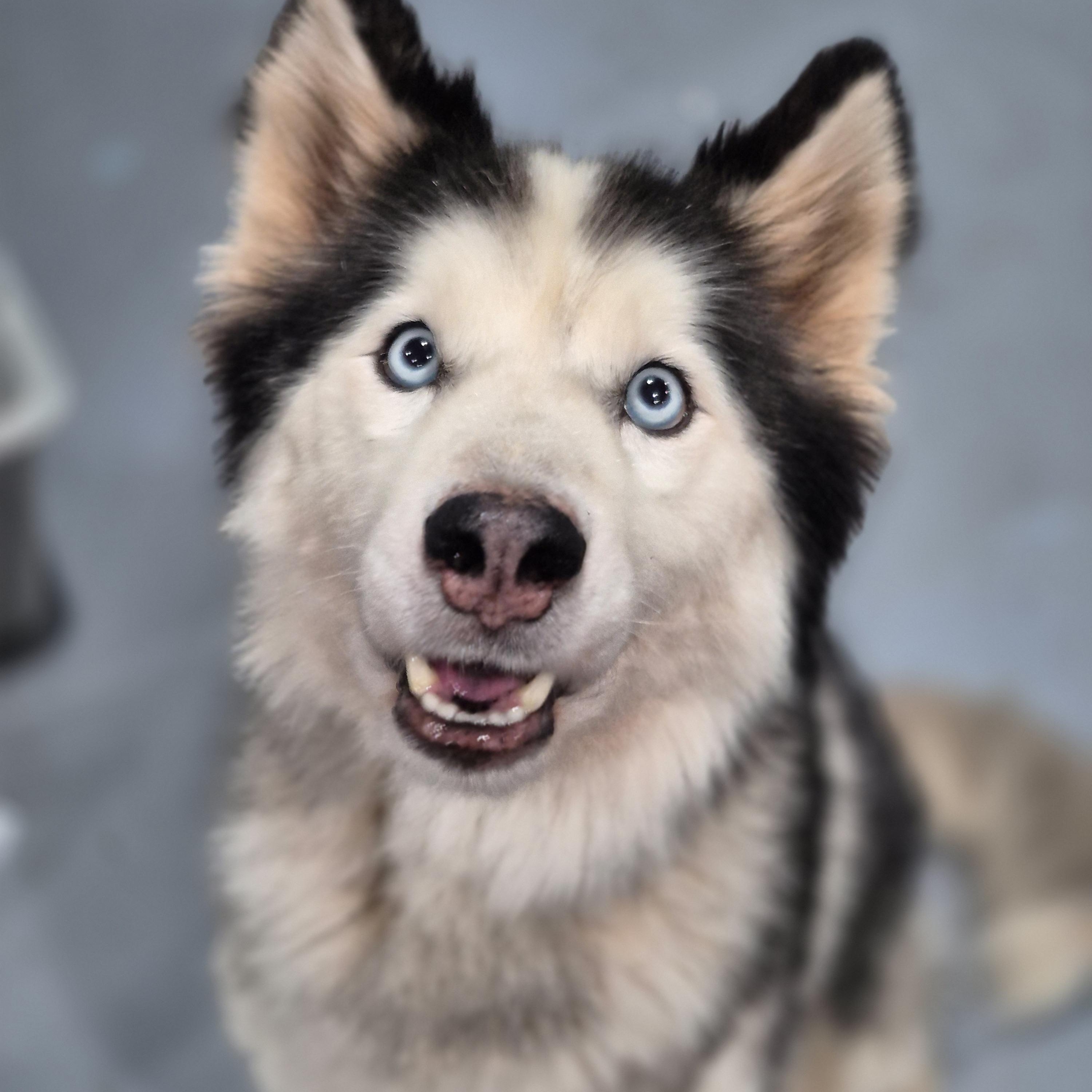 Aspen