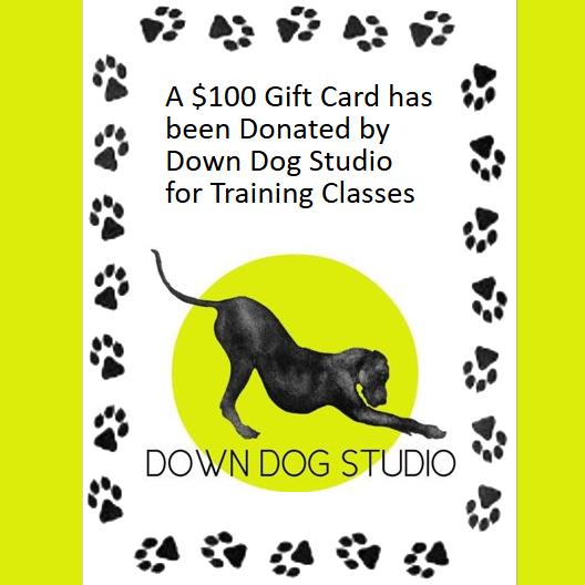 Enlarge Valais, a Adoptable Pit Bull Terrier in Fargo, ND image 3/3