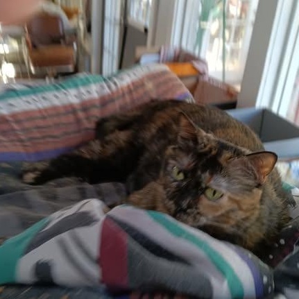 Kiki photo 2
