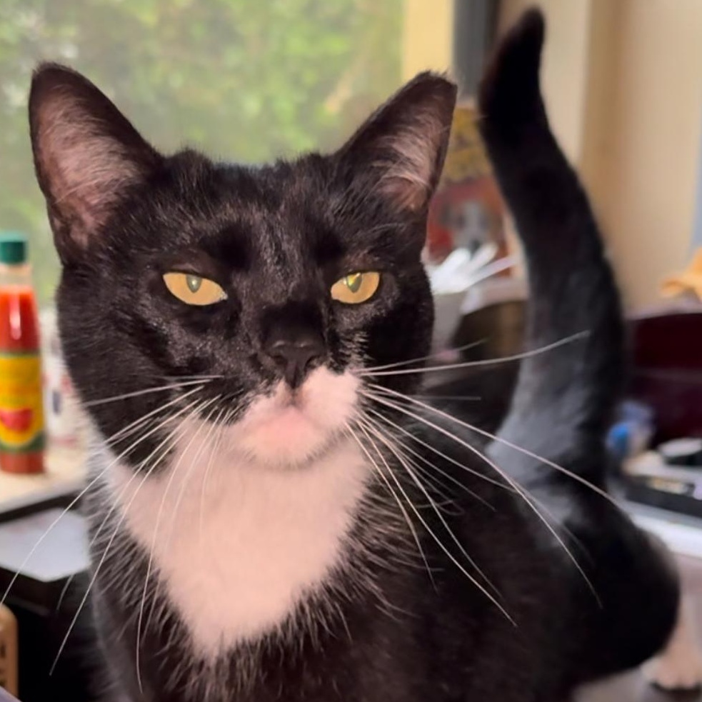 Patina — thumbnail 4