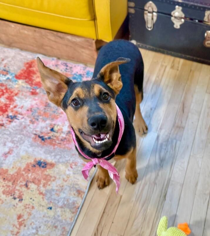 Maple Portillo — thumbnail 5