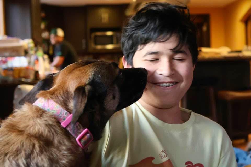 Enlarge Cheyenne, a Adoptable mixed breed in Pleasant Hill, CA image 6/6