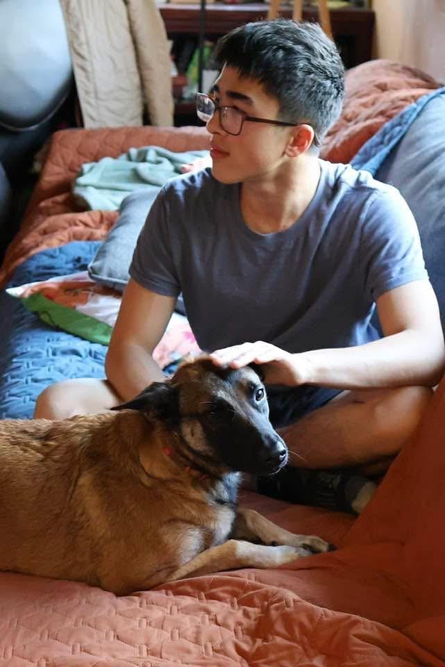 Enlarge Cheyenne, a Adoptable mixed breed in Pleasant Hill, CA image 3/6