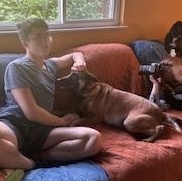 Enlarge Cheyenne, a Adoptable mixed breed in Pleasant Hill, CA image 2/6