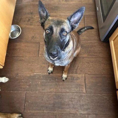 Cheyenne
