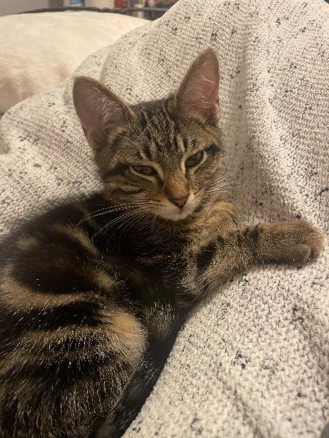 Snow Day thumbnail 3