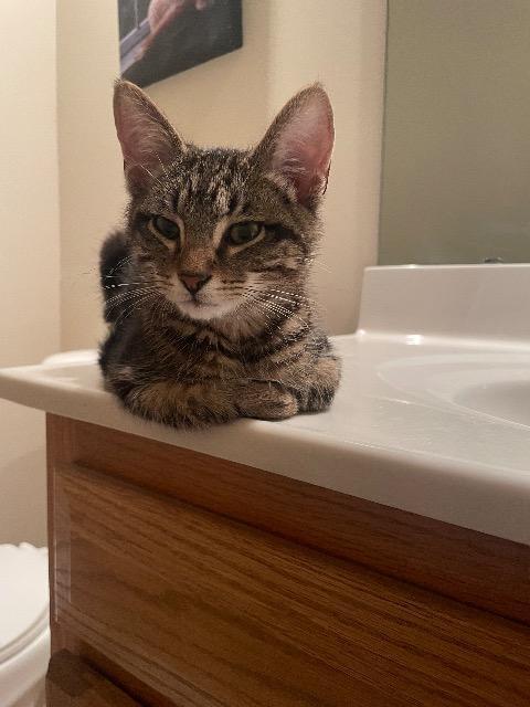 Snow Day thumbnail 4