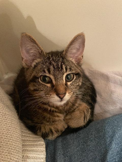 Snow Day thumbnail 5