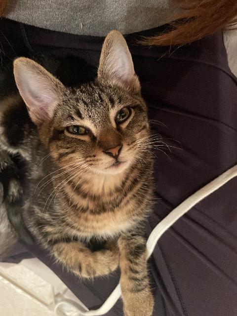 Snow Day thumbnail 6