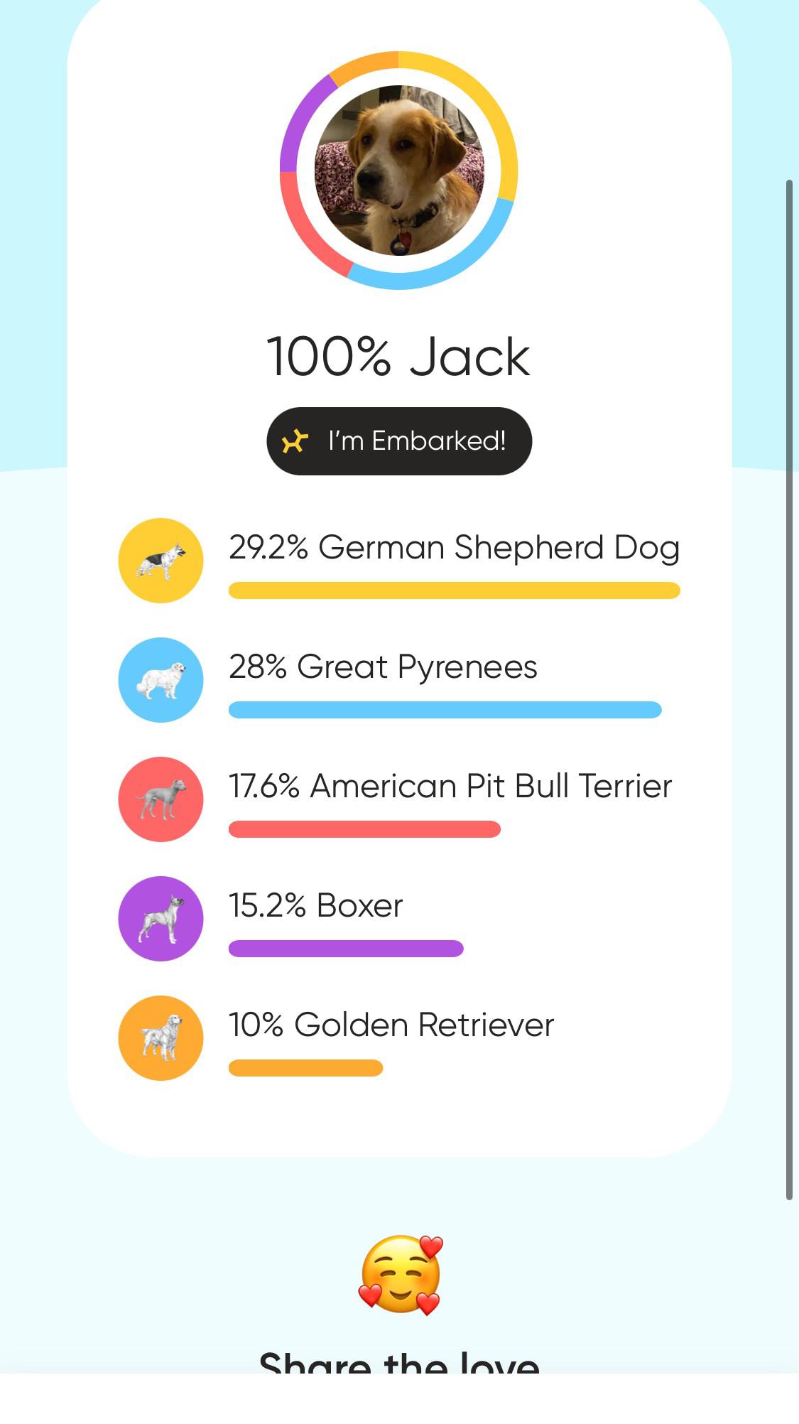 Enlarge Jack, an adopted mixed breed in Pittsburgh, PA image 3/6