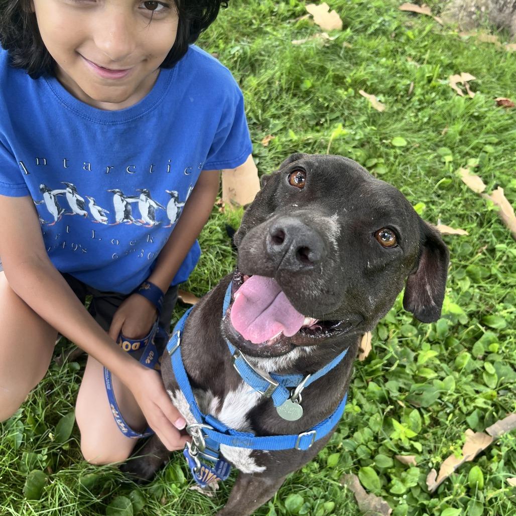 Enlarge Nemo, a Adoptable Mixed Breed in Bangall, NY image 3/5