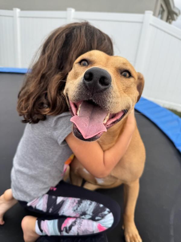 Mya, a ADOPTABLE mixed breed in Bradenton, FL image 5/5