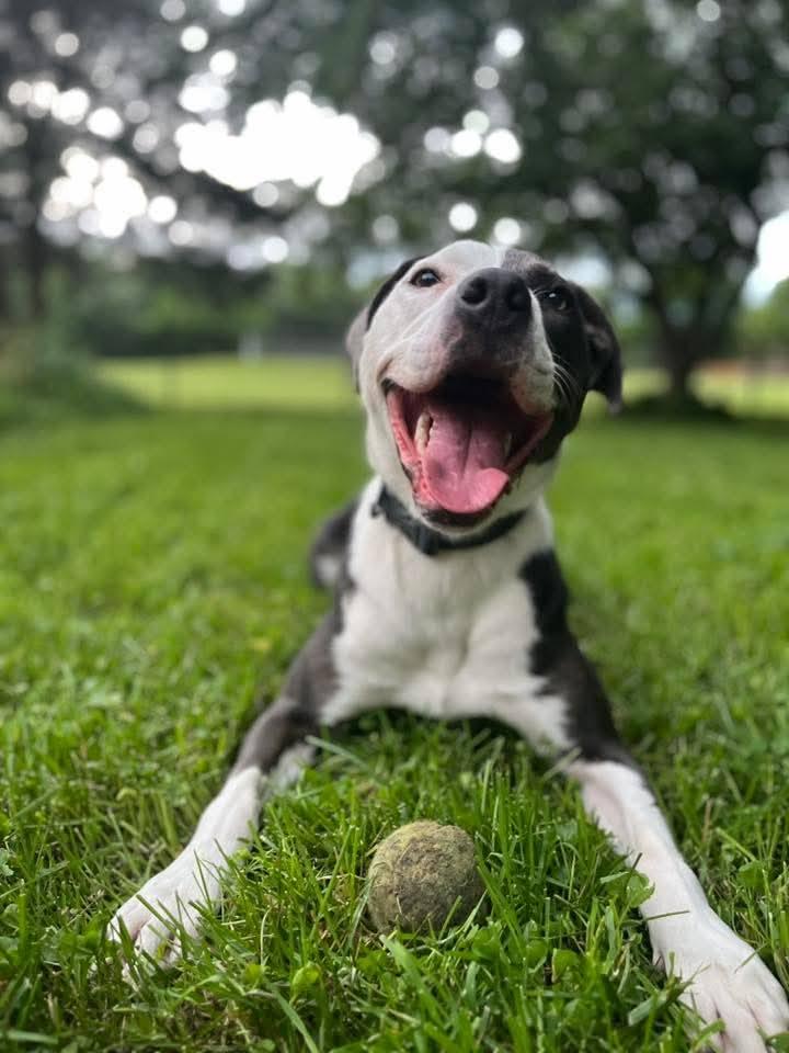 Magdalene (aka Maggie)