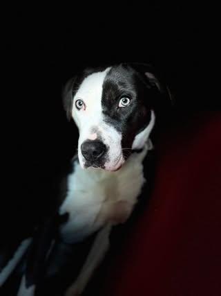 Magdalene (aka Maggie) photo 4