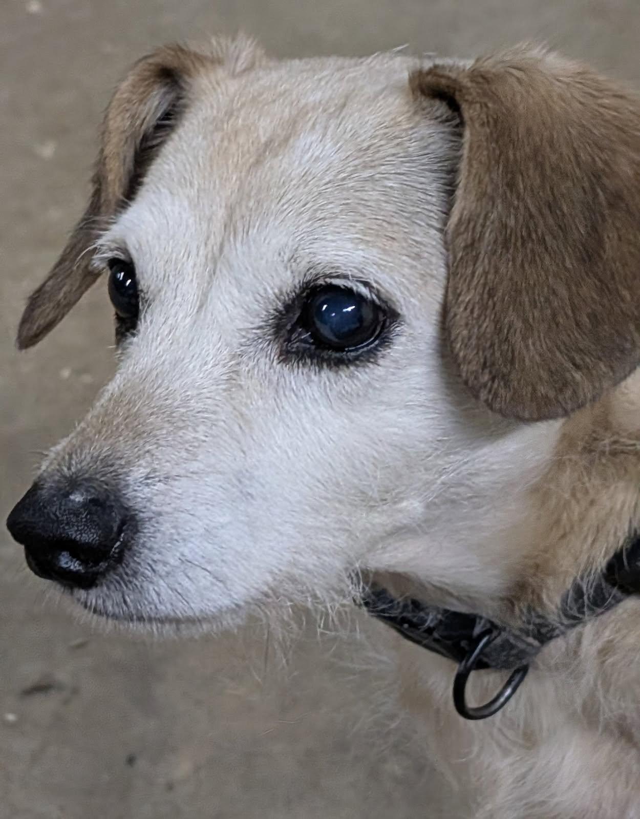 Nola And Loka thumbnail 3