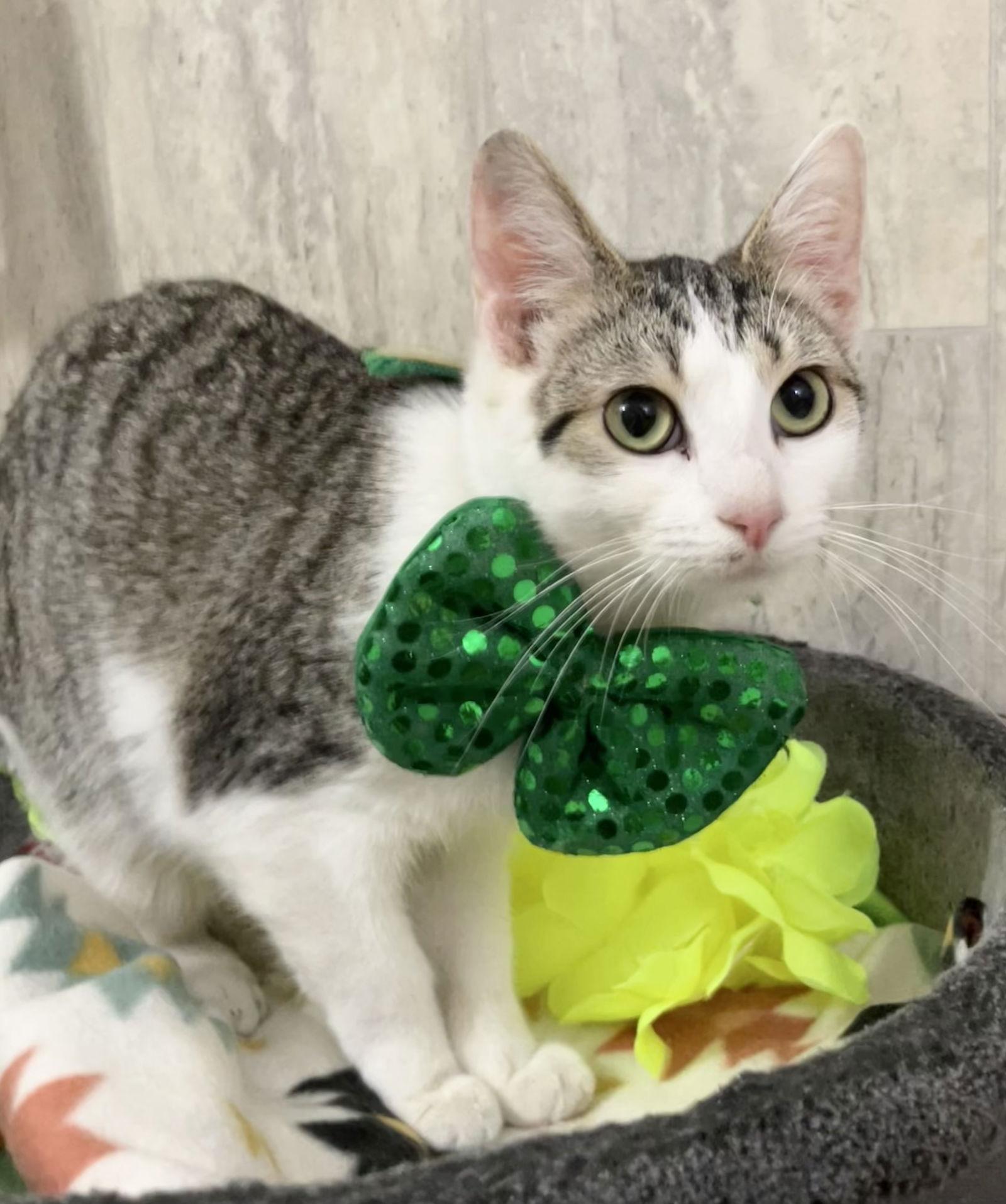 Heather — thumbnail 2