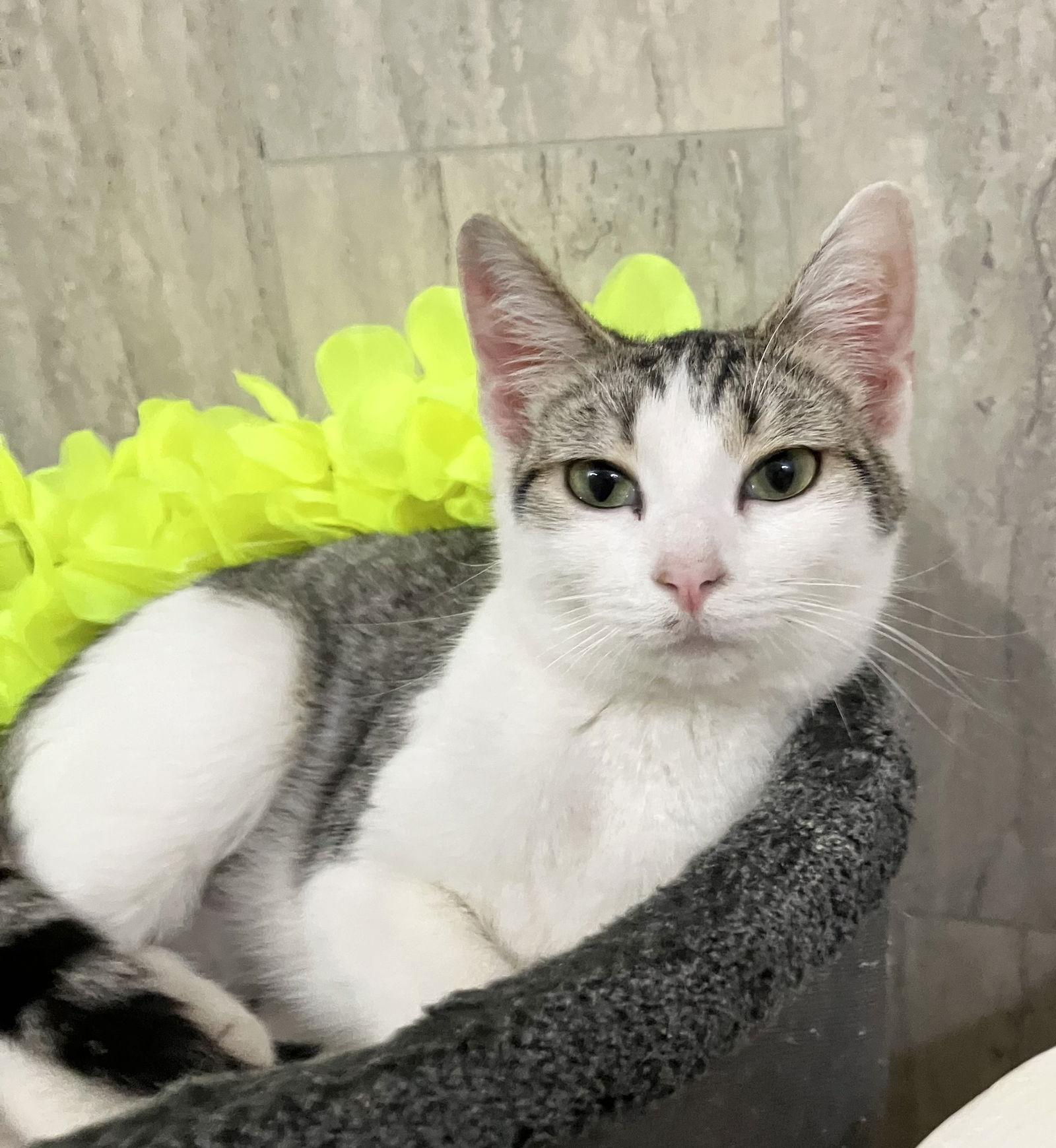 Heather — thumbnail 3