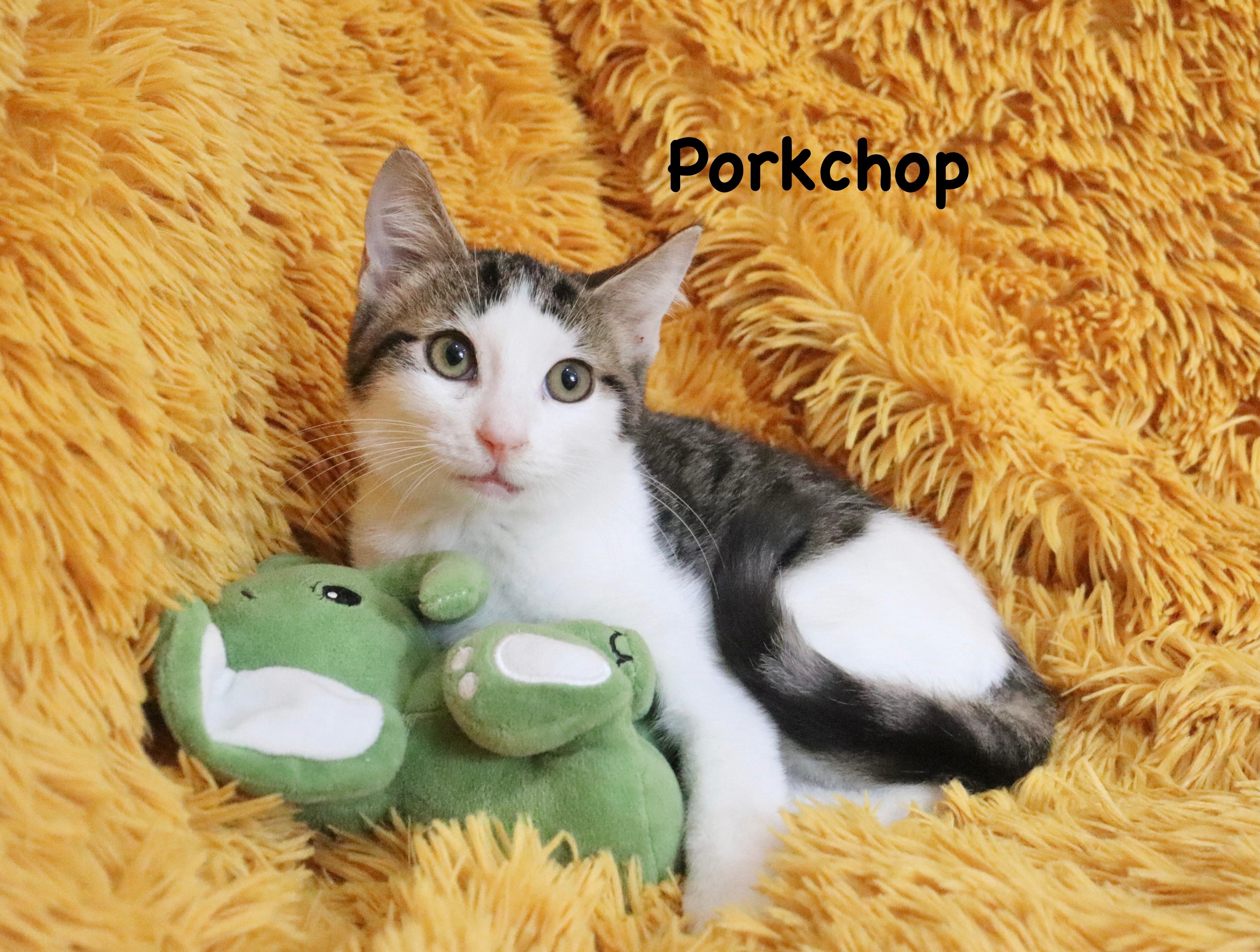 Porkchop