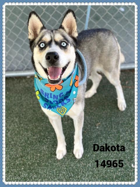 DAKOTA