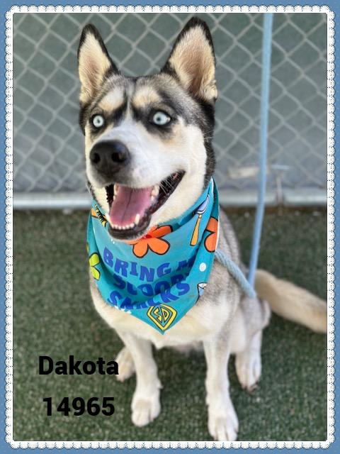 DAKOTA