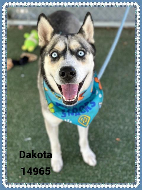 DAKOTA