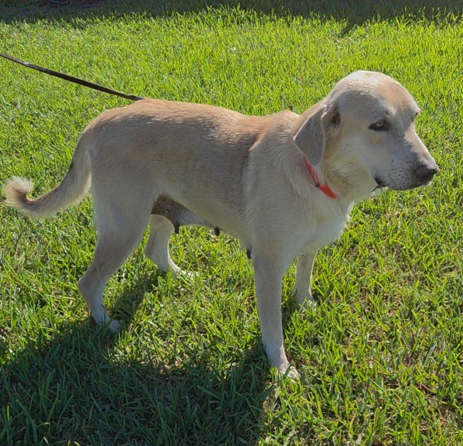 Winnie — thumbnail 2