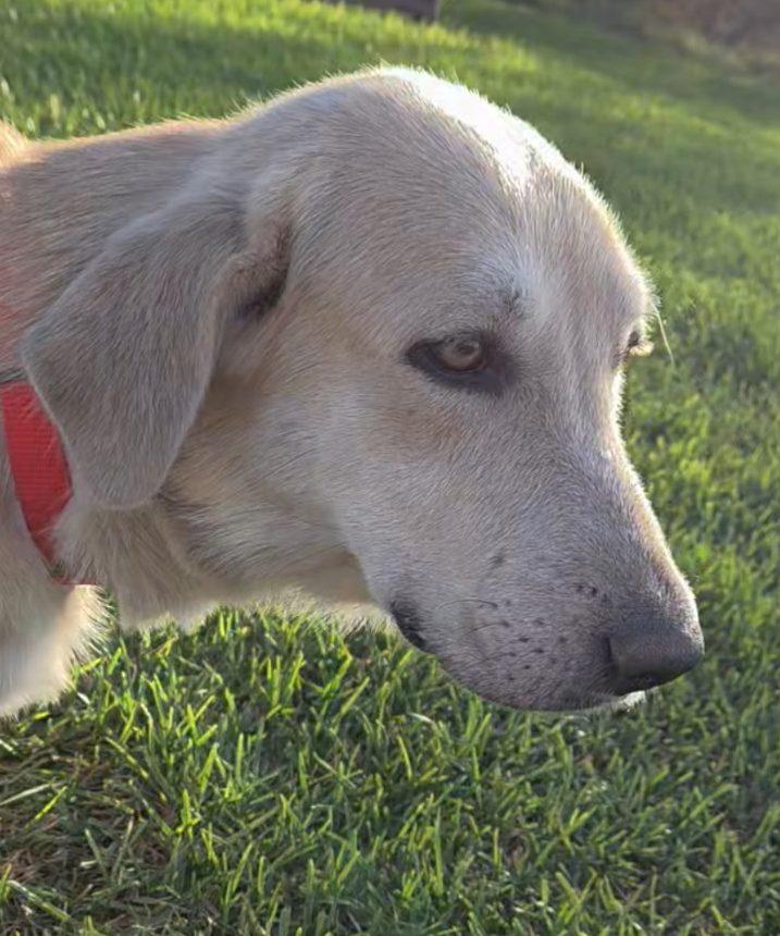 Winnie — thumbnail 3