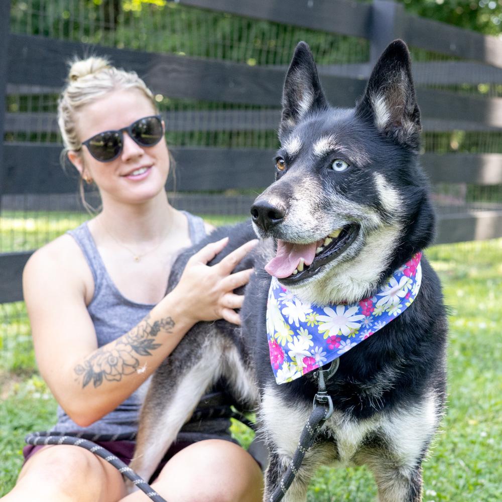 Dakota (Female) Adoption fee sponsored by a friend of Greenmore., an adoptable mixed breed in West Grove, PA image 2/6