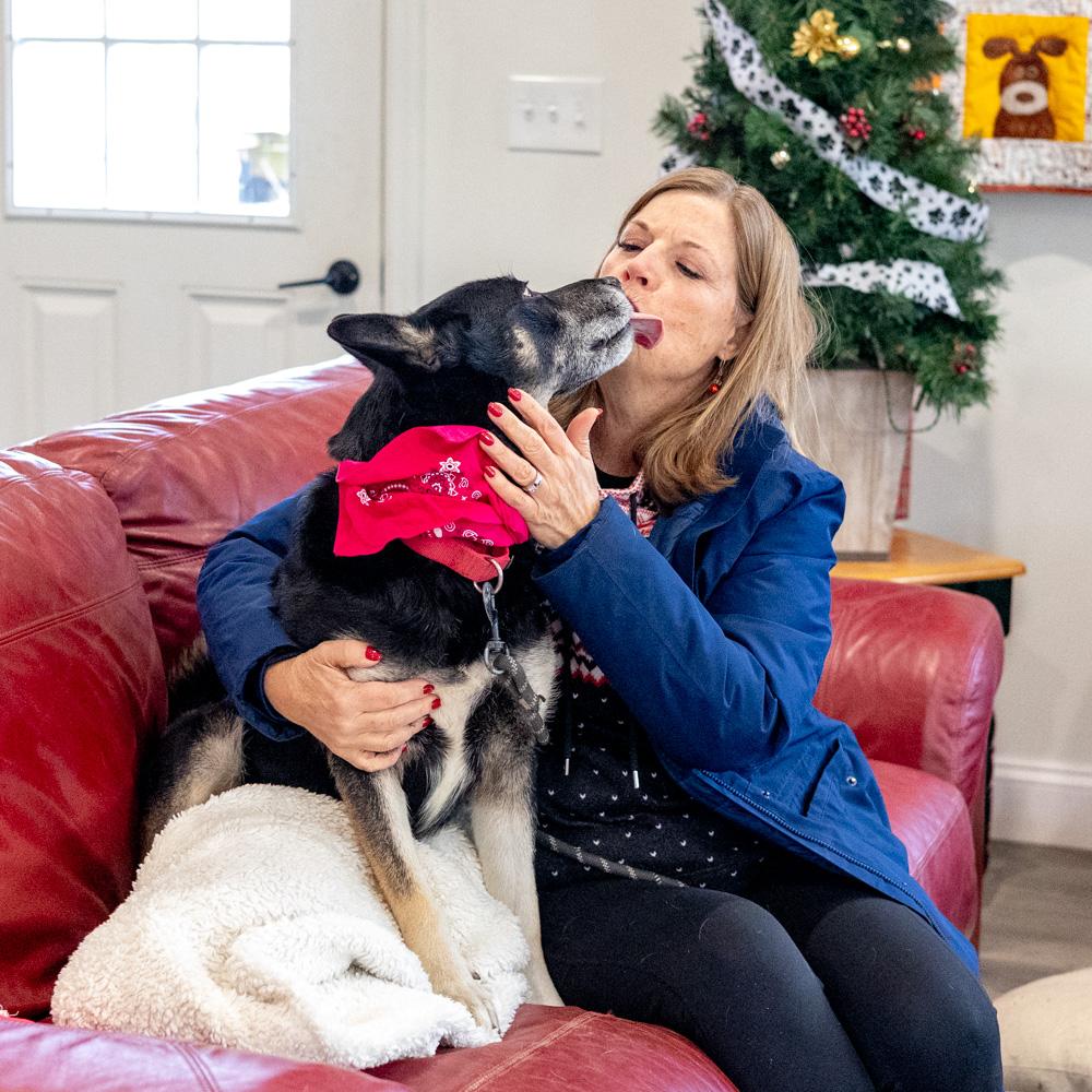 Enlarge Delilah (Female), a Adoptable mixed breed in West Grove, PA image 3/6