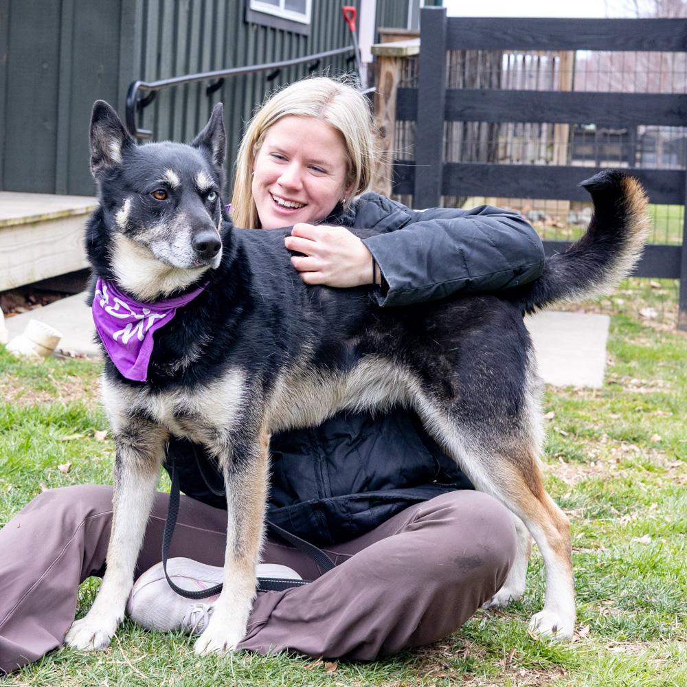 Enlarge Dakota (Female), a Adoptable mixed breed in West Grove, PA image 3/6