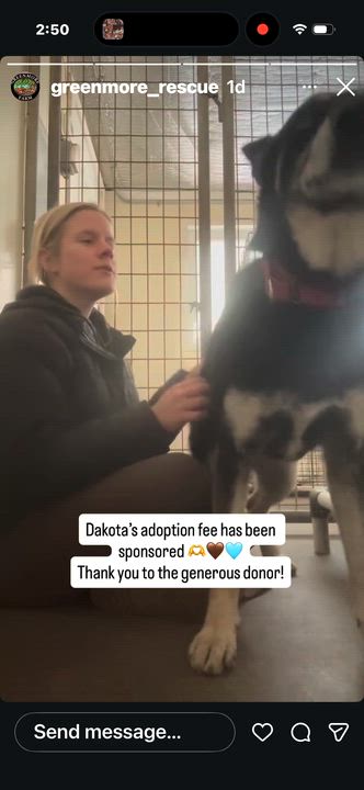 Enlarge Dakota (Female) Adoption fee sponsored by a friend of Greenmore., a Adoptable mixed breed in West Grove, PA video 3/6
